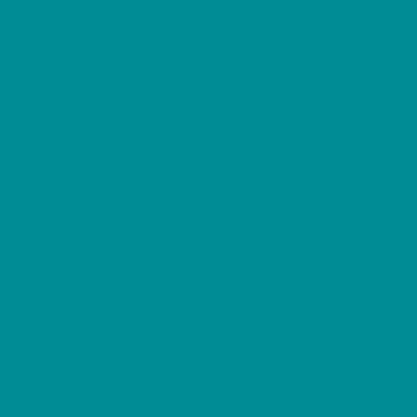 Dolphin Aqua